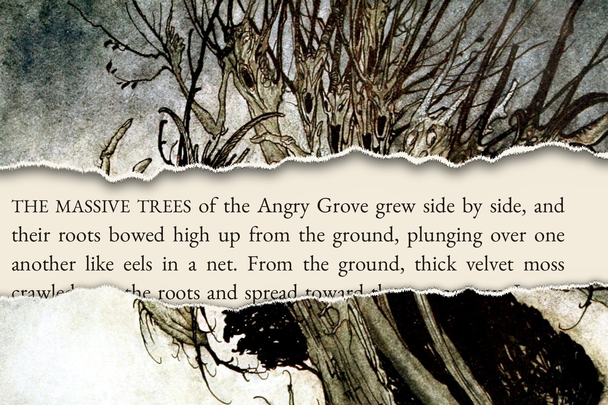 Plate by Rackham (1921) torn open over the Alice of Oz page: The massive trees of the Angry Grove grew side by side. (Chapter 44)